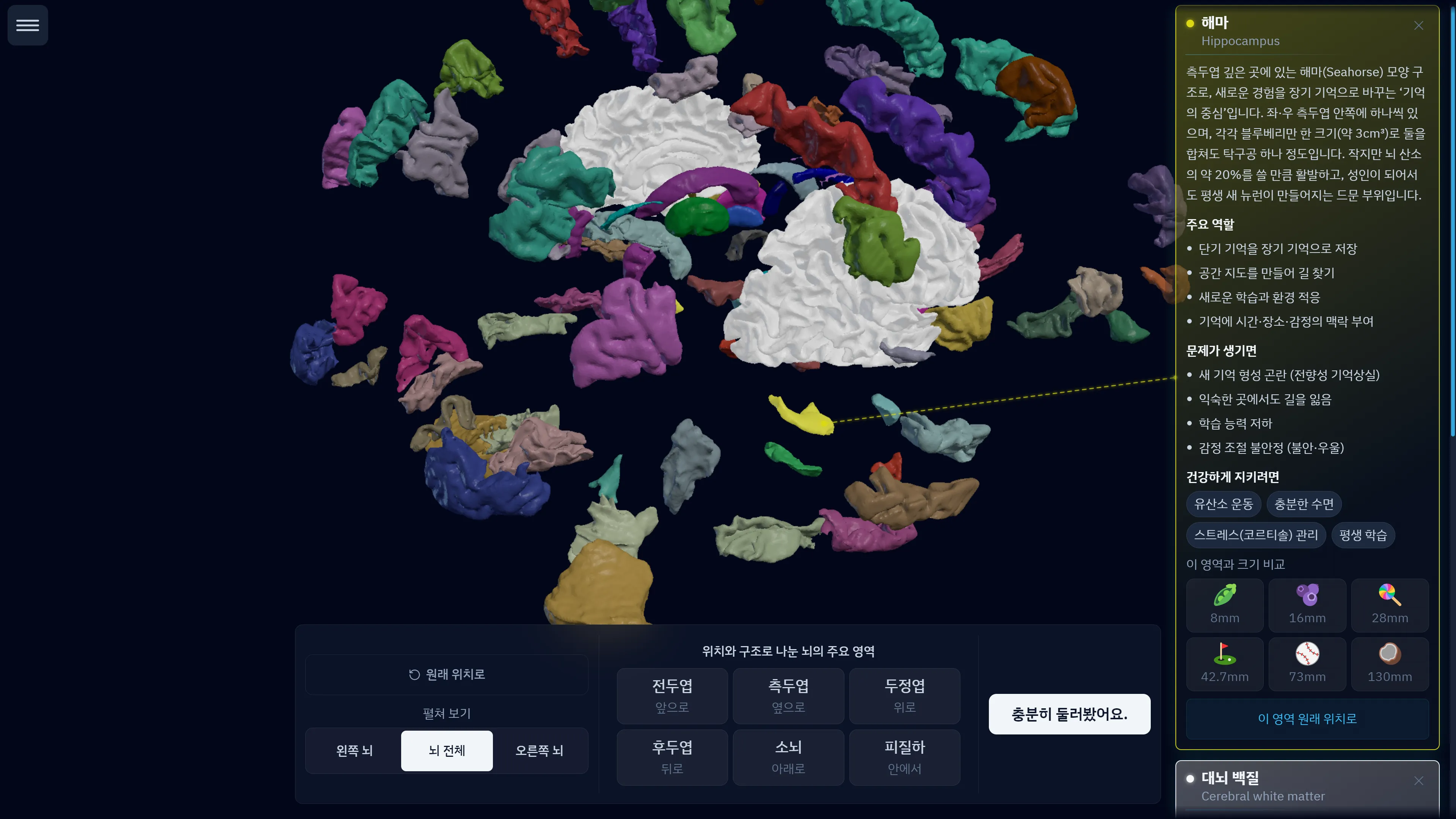 MR.Brain-Edu의 실제 펼친 뇌 아틀라스 화면 중 색으로 구분된 해부 영역을 보여 주는 확대 부분.